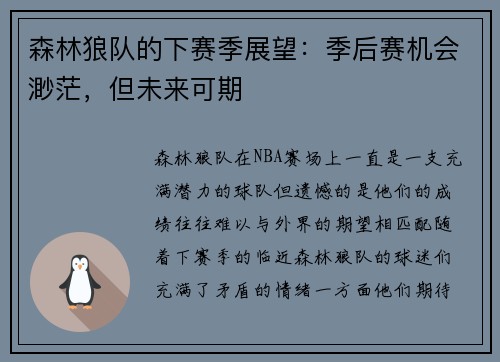 森林狼队的下赛季展望：季后赛机会渺茫，但未来可期